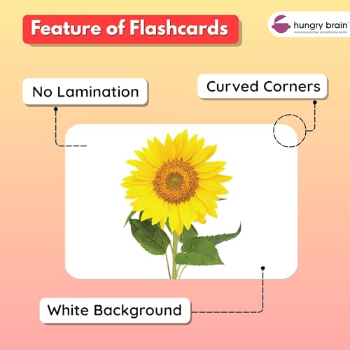 Image of Hungry Brain Flowers Baby Flash Cards 3 Months+ | Montessori Learning Cards for Toddlers | Early Brain Development Toy | Improve Vocabulary, Memory & Cognitive Skills | Educational Gift for Kids