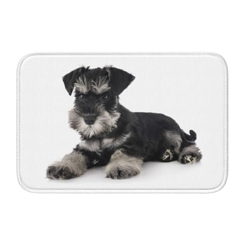 փ}bg ViEU[  oX}bg  O @}bg J[ybg  k ~ߕt 􂦂 xbg[  䏊 Q Ɩp ƒp 40×60cm