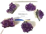 CircuitOffice Natural Purple Amethyst Crystal Cluster Geode from Uruguay, Gemstone Specimen, Healing, Reiki, Chakra, Meditation, Wicca (5 Pieces Raw, 1-2