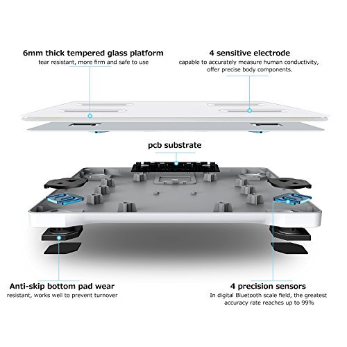 CS20G Bluetooth Body fat scale con iOS e Android