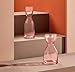 Mr. & Mrs. Night Carafe Water Set, Elegant Crystal Carafe & Glass Set for Bedroom, Office & Home, Premium Design for Stylish Hydration & Décor, Ideal Gift for All Occasions (1, dusty rose, 28 3/4)