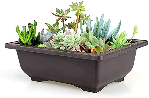 Rectangular Bonsai Training Pot with Drainage Tray