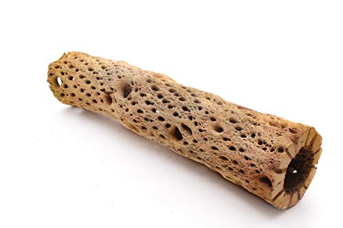 Image of 3, 6, 9, 12 Inch All Natural Teddy Bear Cholla Wood Extra Hollow Untreated Organic Aquarium Driftwood Decoration Chew Toy Shrimp Crab Cichlid Nano Tank Birds 1 or 5 Pieces (1 Piece, 12 inch)