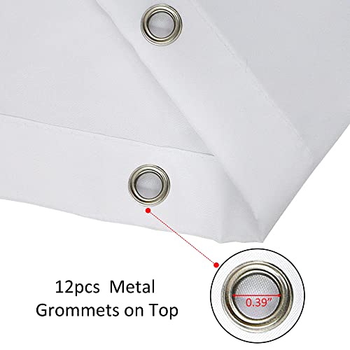 Ambzek Lion Shower Curtain Mens 60Wx72H Inch Black Masculine Bathroom Curtains Male Vintage Majestic Jungle King Head Wildlife Animal Safari Cool Art Cloth Fabric Bathroom Decor Set With 12 Hooks #TOP4