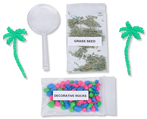 Live Lighted Ecosystem Ant Habitat Shipped With 50 Live Ants Now (2 Tubes Of Ants) - Lights Up #TOP3