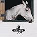Kavitode Horse Stall Name Plate Metal - 10'' x 6.7'' Personalized Horse Name Sign Plaque for Barn,Stall,Stable Outside - Custom Pet Name Sign,Black Rust-Free Clear Visibility (Style 1)