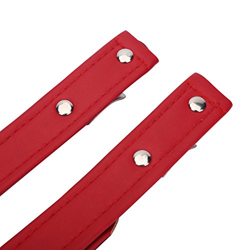 Akkordeonriemen, mehrfarbig verstellbare Verschleißfestigkeiten Schultergurtbänder für 16-120 Bass Akkordeon(43 * 8 * 5cm-rot)