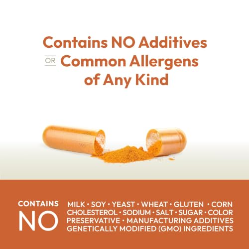 Image of ANDREW LESSMAN Turmeric 400 mg 60 Capsules