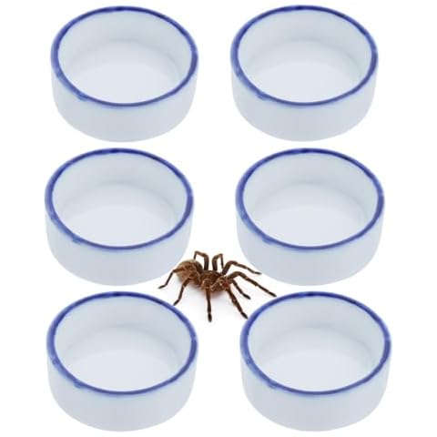 6 Pack Tarantula Ceramic Feeding Bowl Hermit Crab Water Bowl Spider Small Reptile Micro Ceramic Food Dish (1.37" D, 0.51" H) Cover