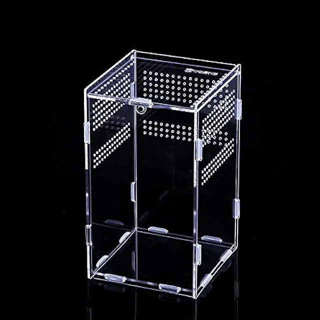 Transparent Acrylic Terrarium for Reptiles, Spiders, Insects - 15x15x25cm