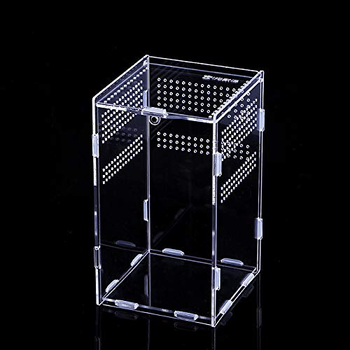 LISSOMPLUME ঒ރP[W P[X e ঒ p ঒ގ甠 {bNX P[X AN N T\  wr J NK^ P[W NA 12cm*12cm*20cm