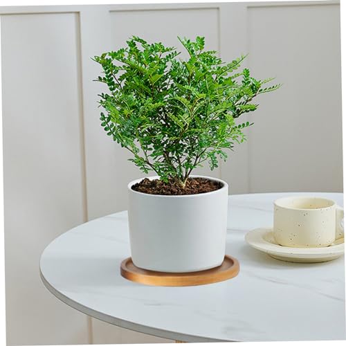 Soucoupe pour plantes en bambou 3.5 pouces pour éviter les fuites d'eau de pot - 4