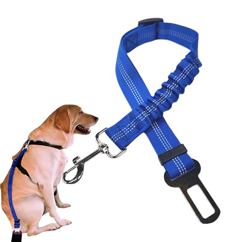 Parlayildiz ԗppV[gxg,p߉\J[Z[teBn[lX | pˈSn[lXobNtr[`sLvhCup