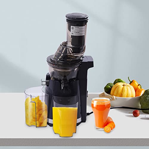 Xuthusman Kitchen Juicer Machine Masticating Vegetable Juicer Cold Press Slow Juicer Extractor + Reverse Function Quiet for Home