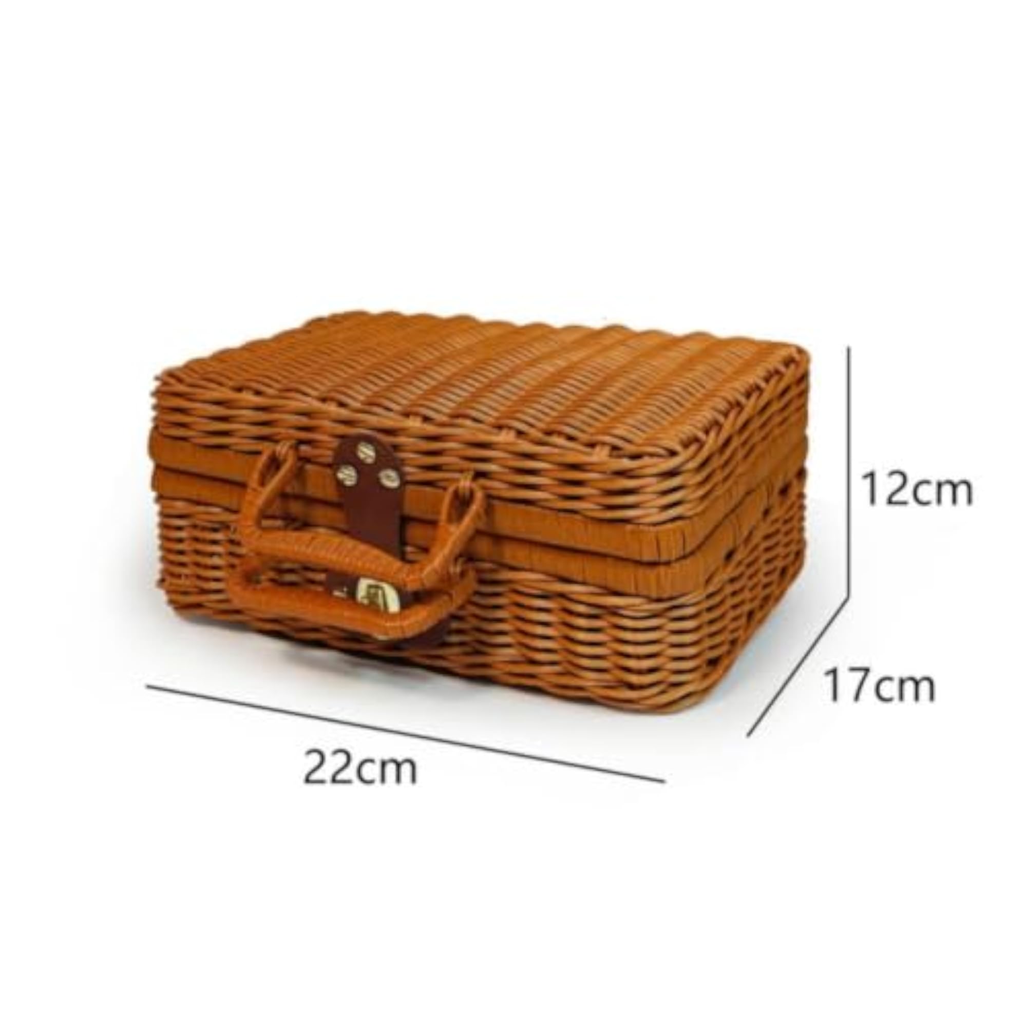 Decorative Woven Storage Case with Hinged Lid