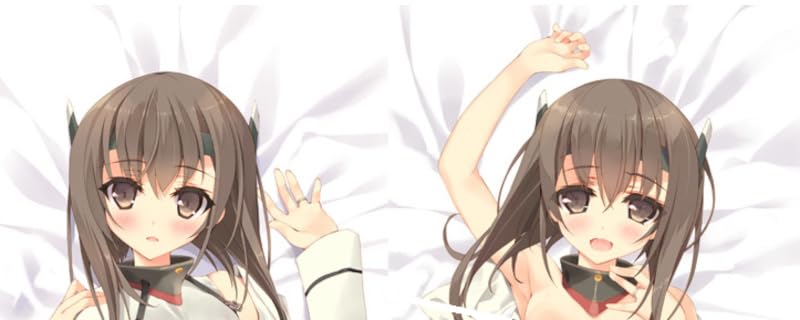 正規品 レムりん抱き枕カバー(鶴崎貴大) C90/Private Garden Amazon.co.jp: Private Garden 鶴崎貴大 艦隊これくしょん 艦