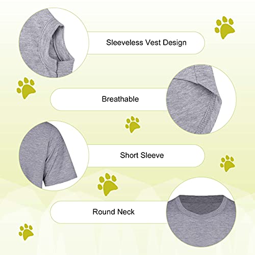 XIYIPIAN Personalised Matching Dog and Owner Shirt, Breathable Doggy Vest, Women ShortSleeve Tee, Soft Pet Clothing for Small Dog Cat, Add Photo/Name/Text - Image 5