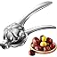 Chestnut Opener