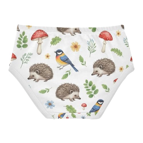 Kids Underwear, Hedgehogs Toddler Girl Briefs, Girls' Cotton Brief Underwear, 2T–8 Years2