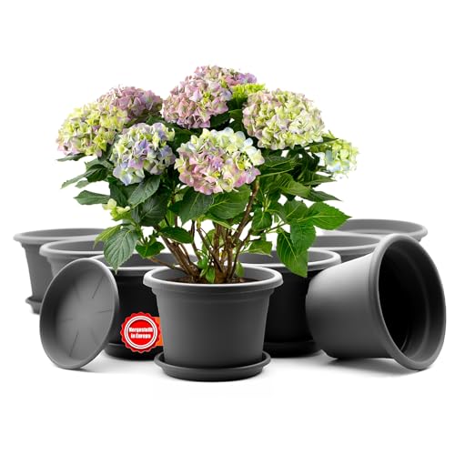 BigDean 8 Stück Blumentopf mit Untersetzer rund ø 20 cm Anthrazit – wetterfester Pflanzkübel Made in Europe