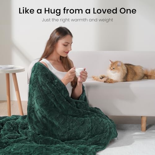 Image of Drewin Queen Size 15 lbs Weighted Blanket for Adults, Soft Fuzzy Jacquard Sherpa Weighted Blankets for Sleeping, Cozy Sofa Bed Blanket for Winter, Dark Green, 48 x 72 inches