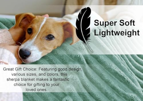 Image of BSB HOME Pencil Pattern Flannel Fleece Sherpa Blanket 220 X 230 Cm, Soft, Plush, Fluffy Season /Ac and Mild Winter Reversible Blanket - Double Bed (Mint Green, Weight - 2.2 Kg), 300 TC