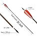 ARCTIRA 12Pcs Archery Traditional Carbon Arrows for Recurve Bow with Feather for Longbow Compound Bow Lightweight Hunting Arrows for Adults Target Practice (Brown Shaft, 500 Spine)