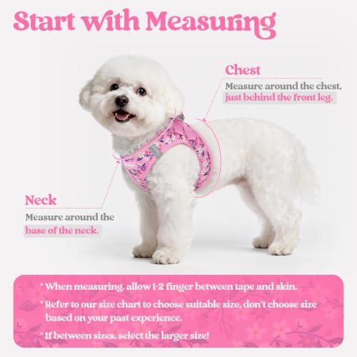Image of rabbitgoo Dog Harness Medium Sized and Leash Set, Step-in Puppy Pet Vest