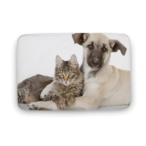 L Č  oX}bg \tg􂦂 z  փ}bg  O   \ ~ Aj LN^[ @}bg   ʏ