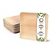 BIOZOYG Palmware Platos de Hojas de Palma I 25 Piezas de ojas de Palma Rectangular 25 x 25 cm I Bio vajilla desechable Boda compostable Biodegradable Vajilla de Fiesta