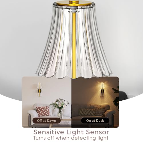 Image of Briignite LED Night Lights Plug into Wall, Decor Acrylic Vintage Nightlight