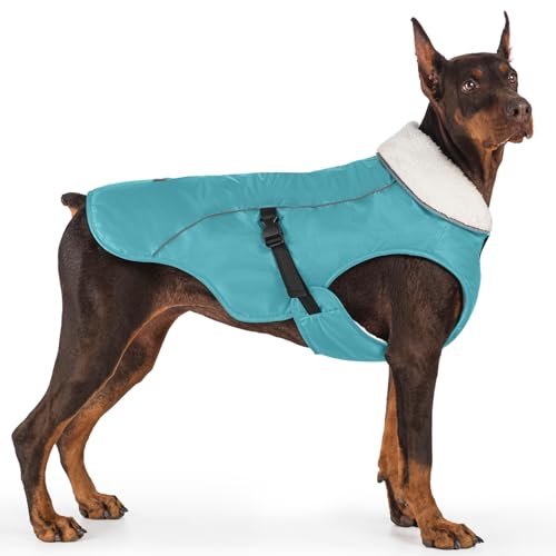 EMUST Dog Coat Winter, Waterproof Pet Snow Jacket for Winter, Adjustable Small/Medium/Large Dog Coat, Turquoise, L