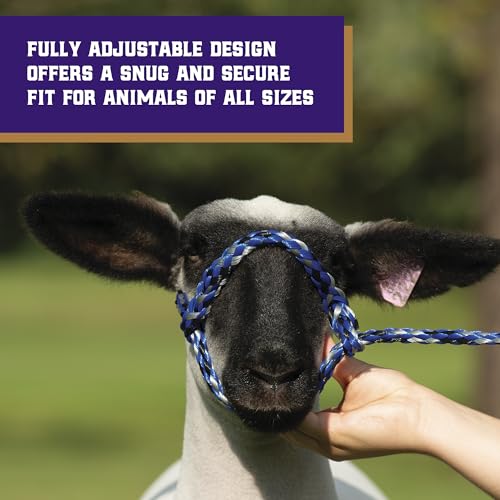 Weaver Livestock Poly Rope Sheep Halter, Modern Style Braid Sheep and Goat Rope Halter, Adjustable Lamb Halter Lead, Livestock Sheep Showing Supplies