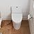 DeerValley 52807R 10" rough-in Compact One Piece Toilet Elongated, Modern Toilet with Soft Close Seat Ceramic Glossy for Small Bathroom Space