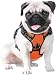 No Pull Dog Harness Reflective No-Choke Pet Oxford Dog Vest with Handle, Soft Padded Harnesses Large Breed Adjustable for Large Dogs (S, Orange)