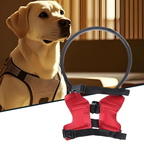 Hilfe Für Blinde Hunde - Schutz-Halo-Halsband Für Blinde Hunde | Sicherheitsführungsstoßstange Schutzhalsband-Zubehör Für Outdoor-Spaziergänge