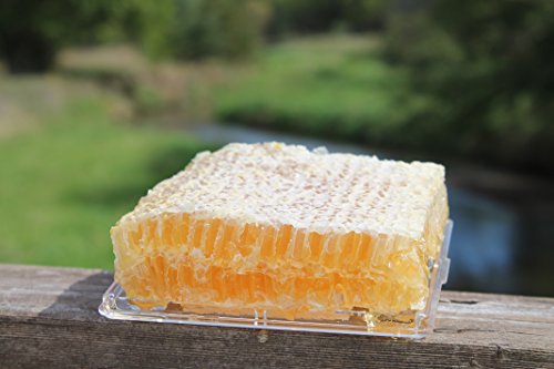 Raw Comb Honey Pure Natural Nebraska Honey (One) 1Lb (16Oz) Cut Comb #TOP4