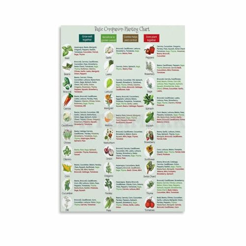 Image of Basic Companion Planting Chart Poster,Garden Planting Types Reference Guide Canvas for Bedroom Living Room Decor 12x18inch(30x45cm) Unframe-style