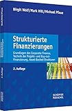 Strukturierte Finanzierungen: Grundlagen des Corporate Finance, Technik der Projekt- und Buy-out-Finanzierung, Asset-Backed-Strukturen