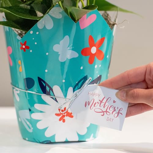 Image of Costa Farms Peace Lily, Live Indoor Plant Delivery with Flowers, Easy to Grow Houseplant in Gift Wrap, Potting Soil, Thinking of You, Get Well Soon Gift, Room Decor, 1 Foot Tall