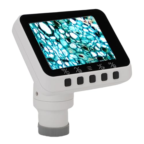 Porta Fotos Digitales Wifi Marca Bewinner