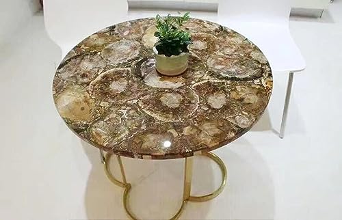 Brown Petrified Wood Table Top End Table
