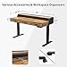 FEZIBO Electric Standing Desk, 48 x 24 Inches Height Adjustable Table, Ergonomic Home Office Furniture with Top Storage, Black Frame/Rustic Brown Top