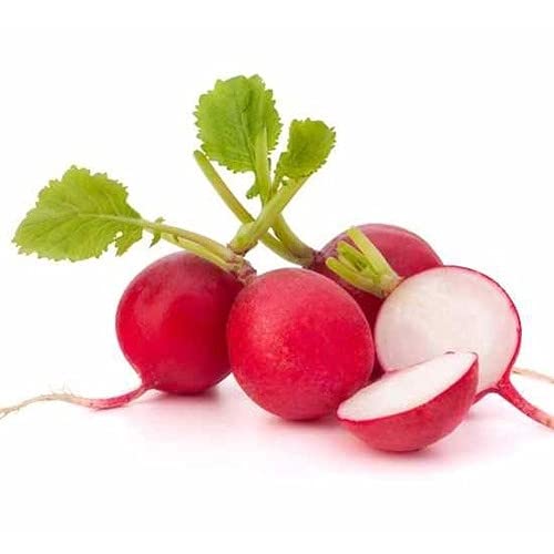 Green Gallery Radish Red Round Fresh Organic Vegetable Seeds for Home and Kitchen Gardening Planting Farming (Pack of 50+ Seeds) (B08DJ99SS6) Amazon Price History, Amazon Price Tracker