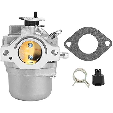 Longzhuo Vergaser, Gartenvergaser Ersatzzubehör Passend für Briggs Stratton 799728 498027 12 PS 12,5 PS Cover