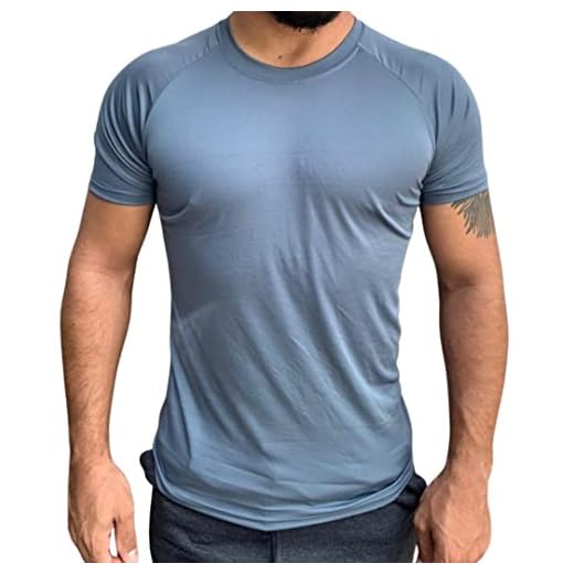 Camiseta Esporte Treino Academia Básica Masculino 100% Poliéster (G, Cinza)