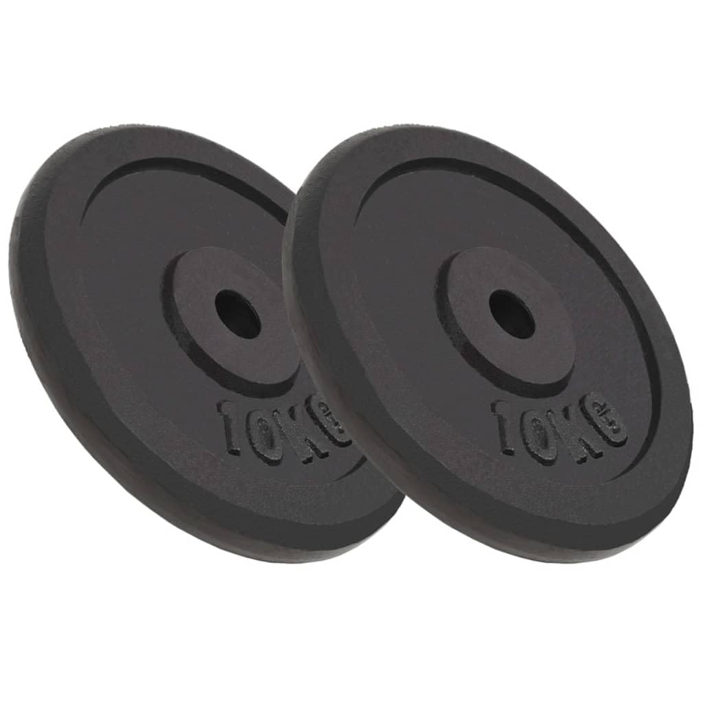 Genérico Discos de Pesas de Hierro Fundido 2 uds 2x10 kg