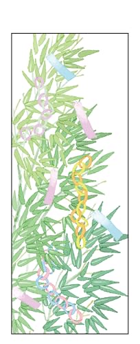 yJapan madez lG GĂʂ [AyT-055z Ȃ΂ ʂ @ aĂʂ Ǌ| aG  ^yXg[ {