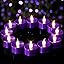 Purple Light