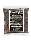 Hale Habitat & Seed Brassica Blend Food Plot Mix, 1/2 Acre, Highly Attractive Fall Food Plot
